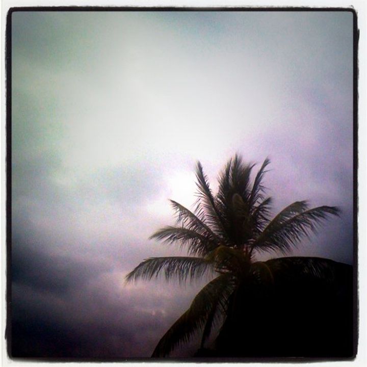 2011-1-25-1295928861