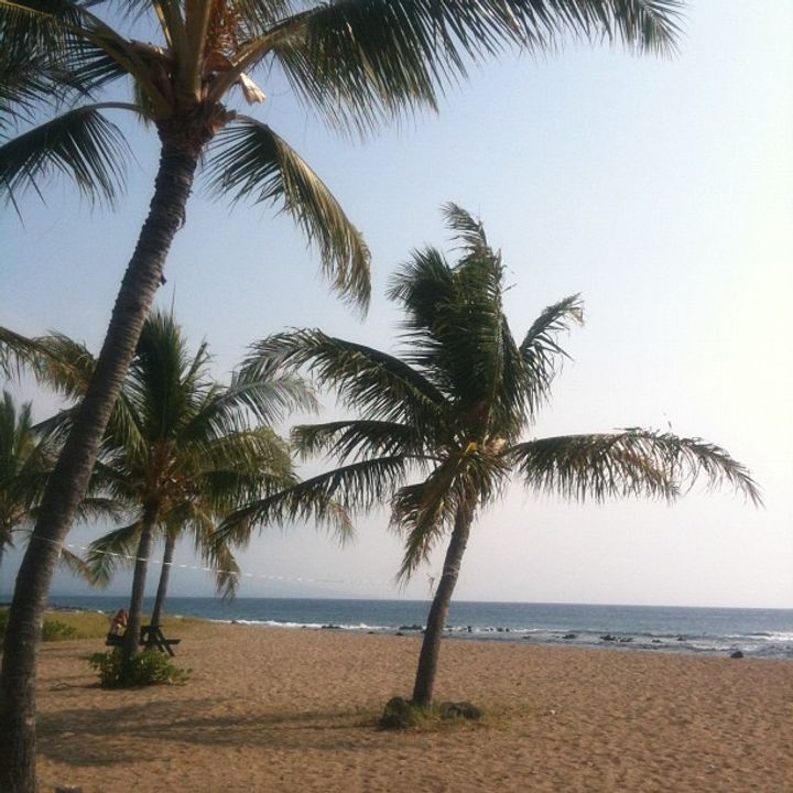 2012-1-28-1327722478