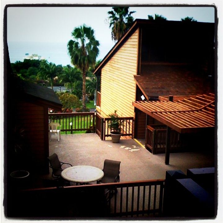 2011-1-17-1295237811