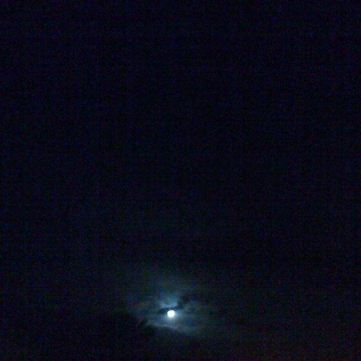 2011-3-22-1300783259
